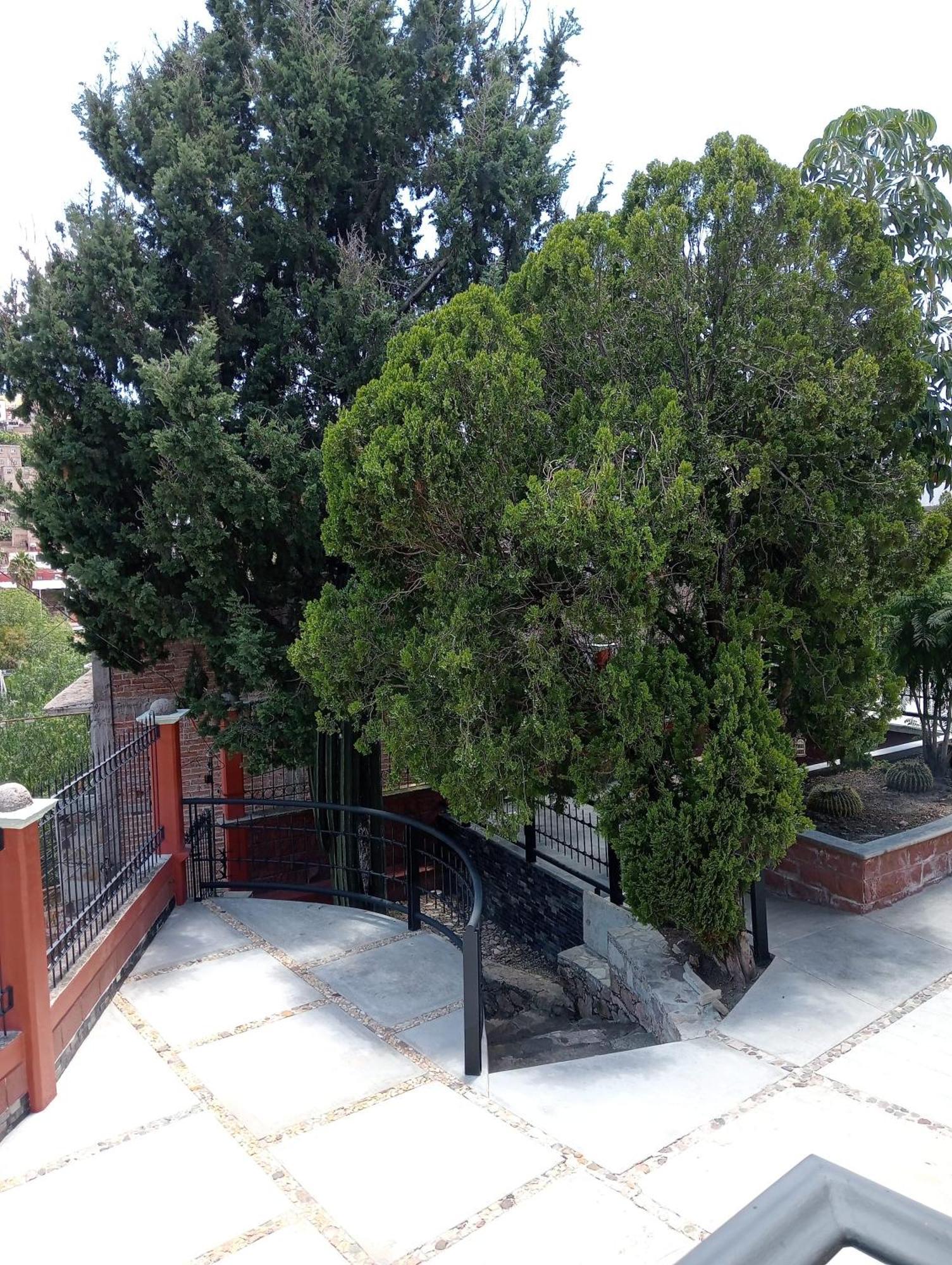 Quinta Mercedes Hotel *