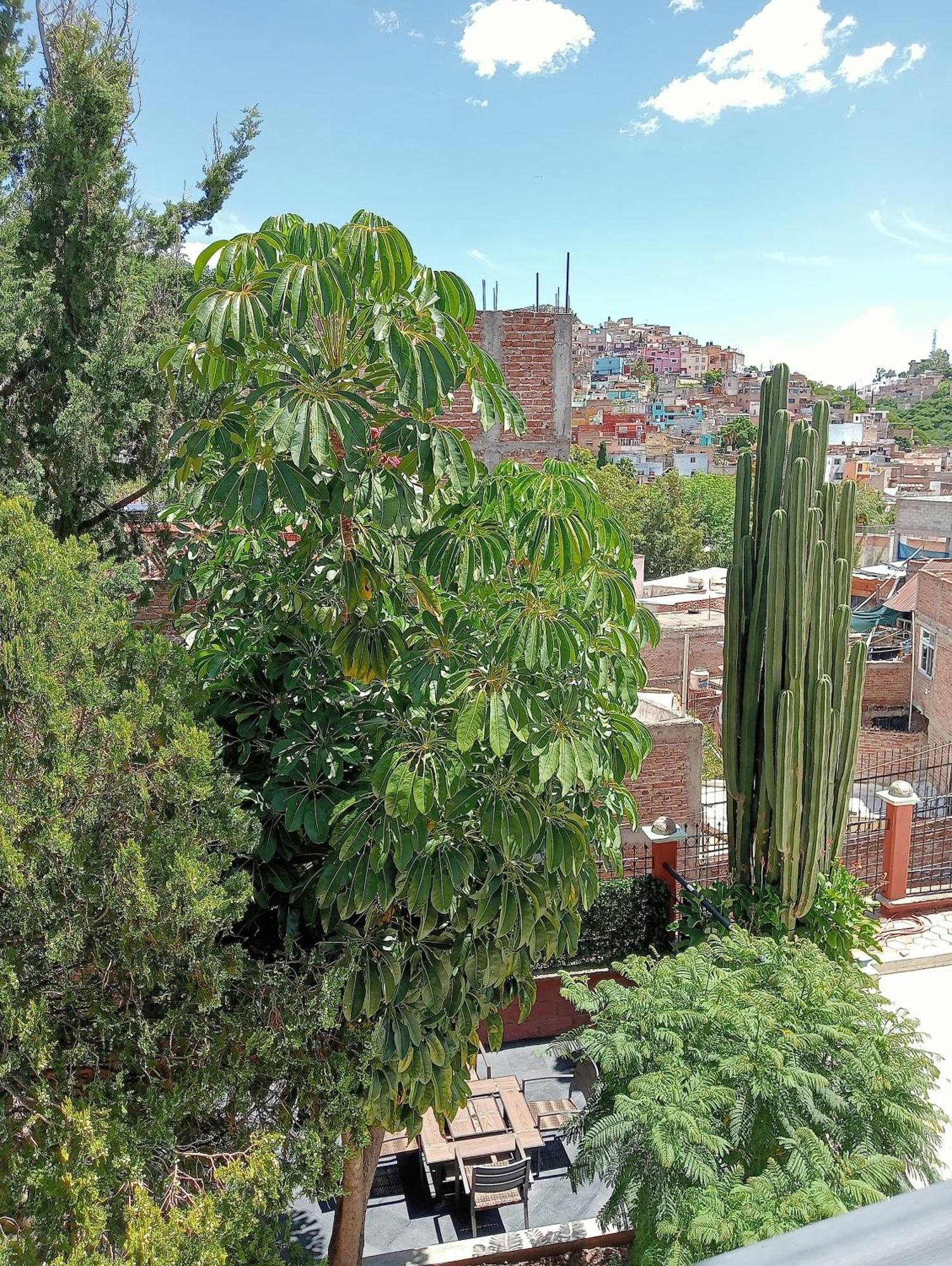 Quinta Mercedes Hotel